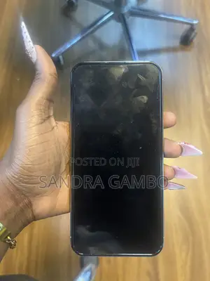 Apple iPhone 15 Pro Max 256 GB Gray