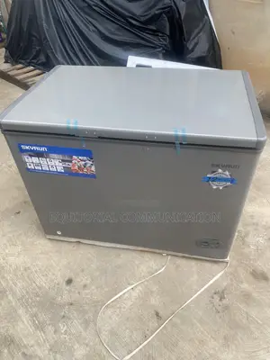 BD-300HNW 300L Skyrun Deep Freezer for Food Retailers