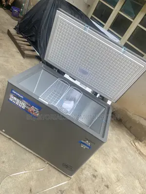 BD-300HNW Skyrun 300L Deep Freezer for Commercial Use