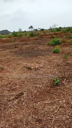 Landed Property
