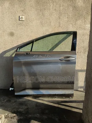 Front Left Door RX350 2018