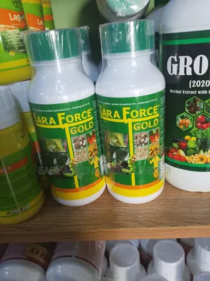 Lara Force Gold