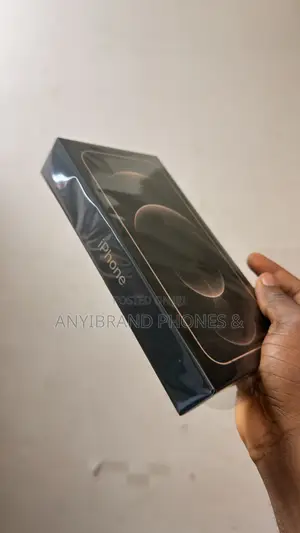 New Apple iPhone 12 Pro Max 256 GB Gold