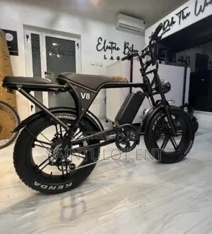 Fat Tyre Electric Bike