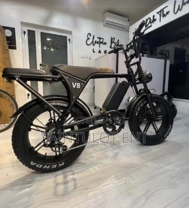 Fat Tyre Electric Bike