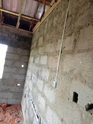 The Real Electrician Man