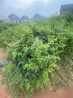 3.75 Hectares Land for Sale in Kagini Close to Kubwa Expressway