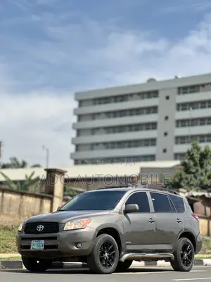Toyota RAV4 2010 Brown