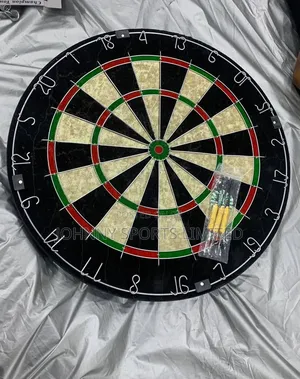 Commercial Dart Board