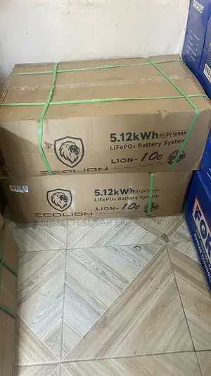 5kWh 24v Ecolion Lithium Battery