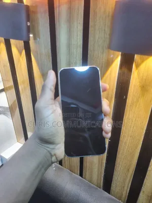 Google Pixel 9 Pro XL 256 GB Silver