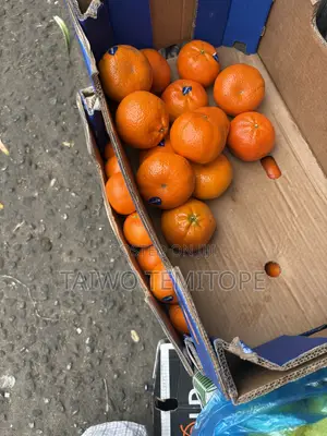 Fruits and Vegetables