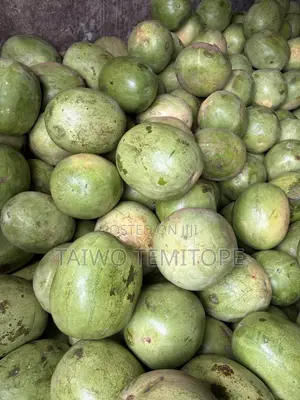Fruits and Vegetables