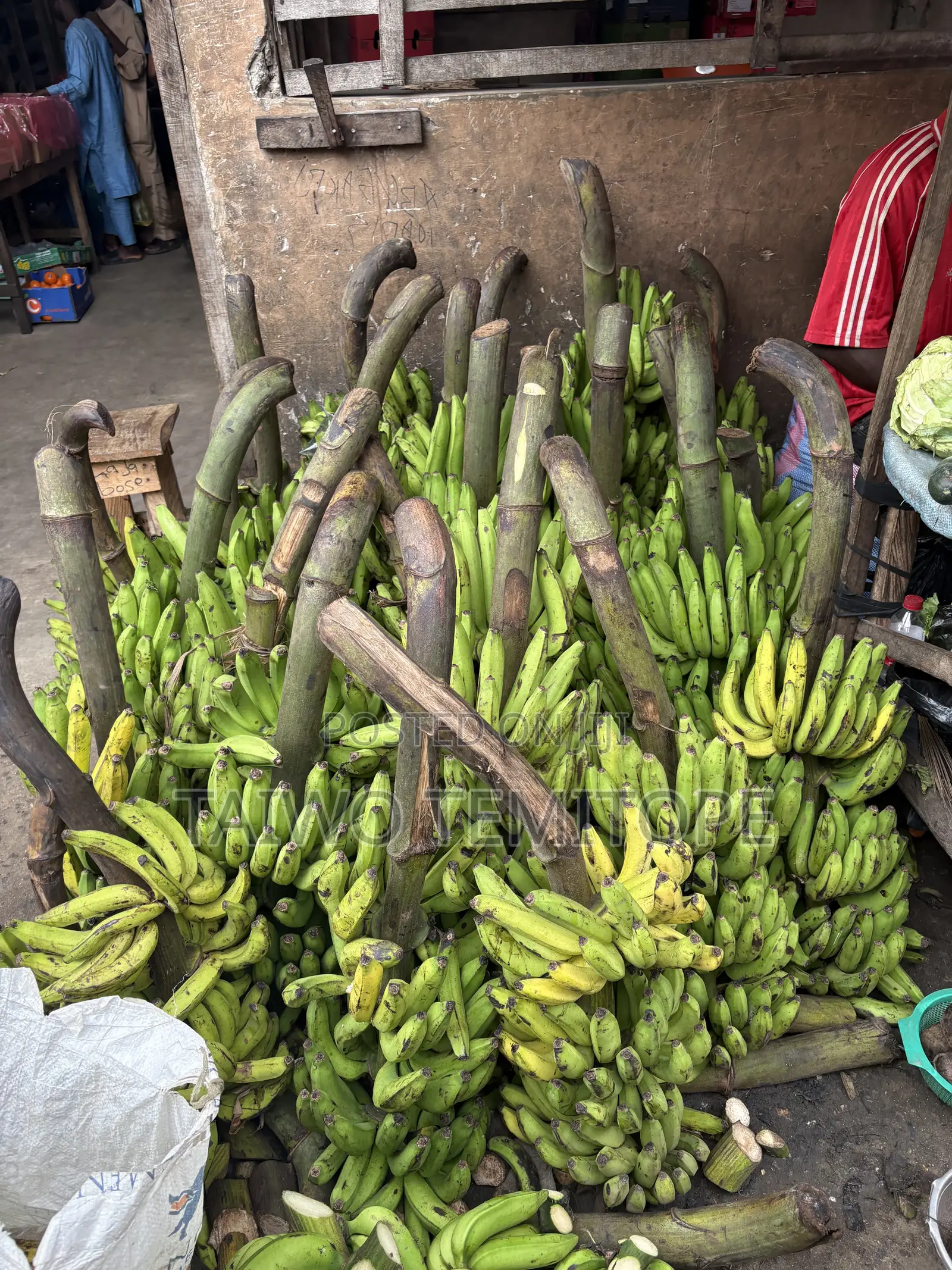 Fruits and Vegetables