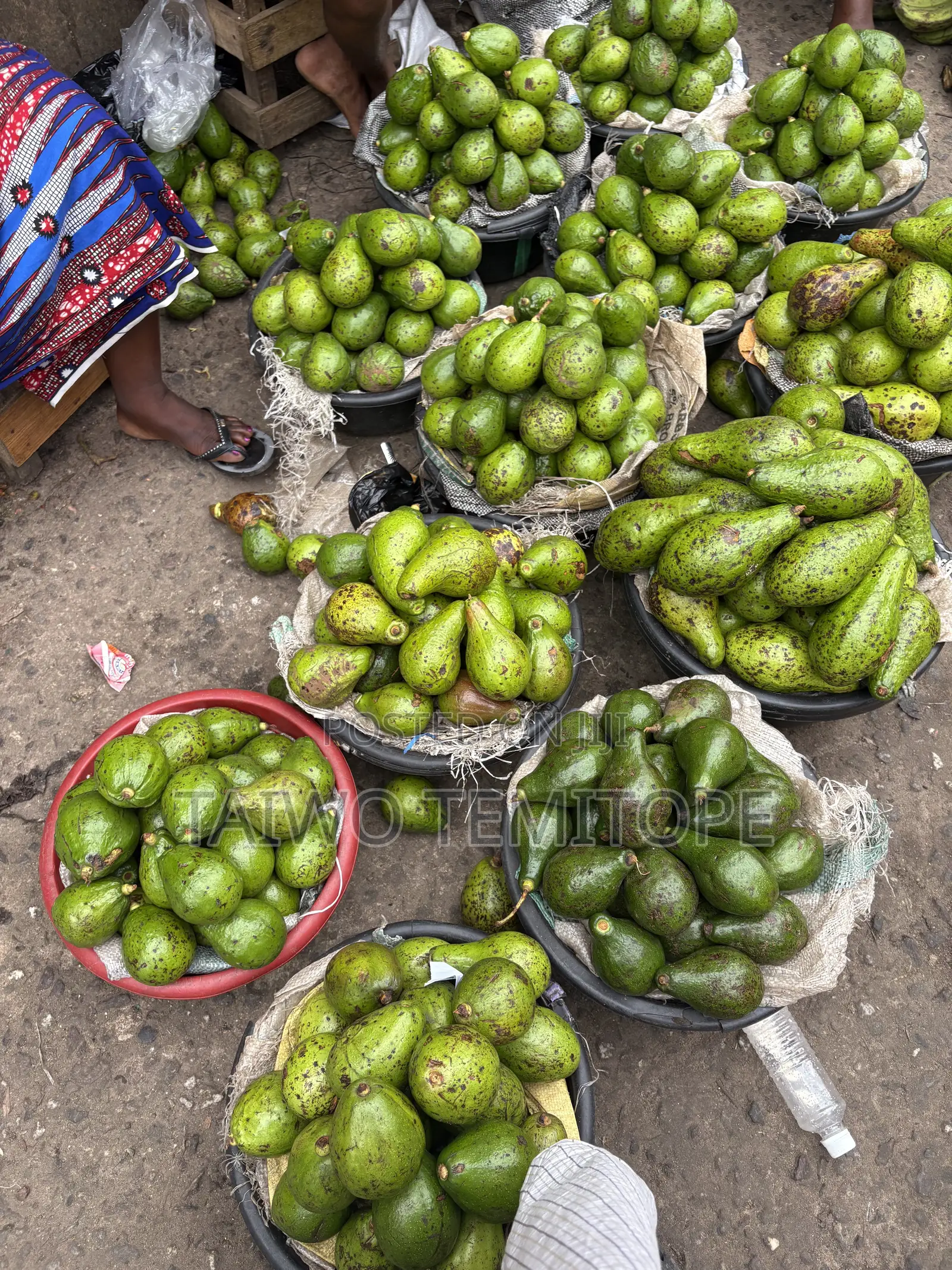Fruits and Vegetables