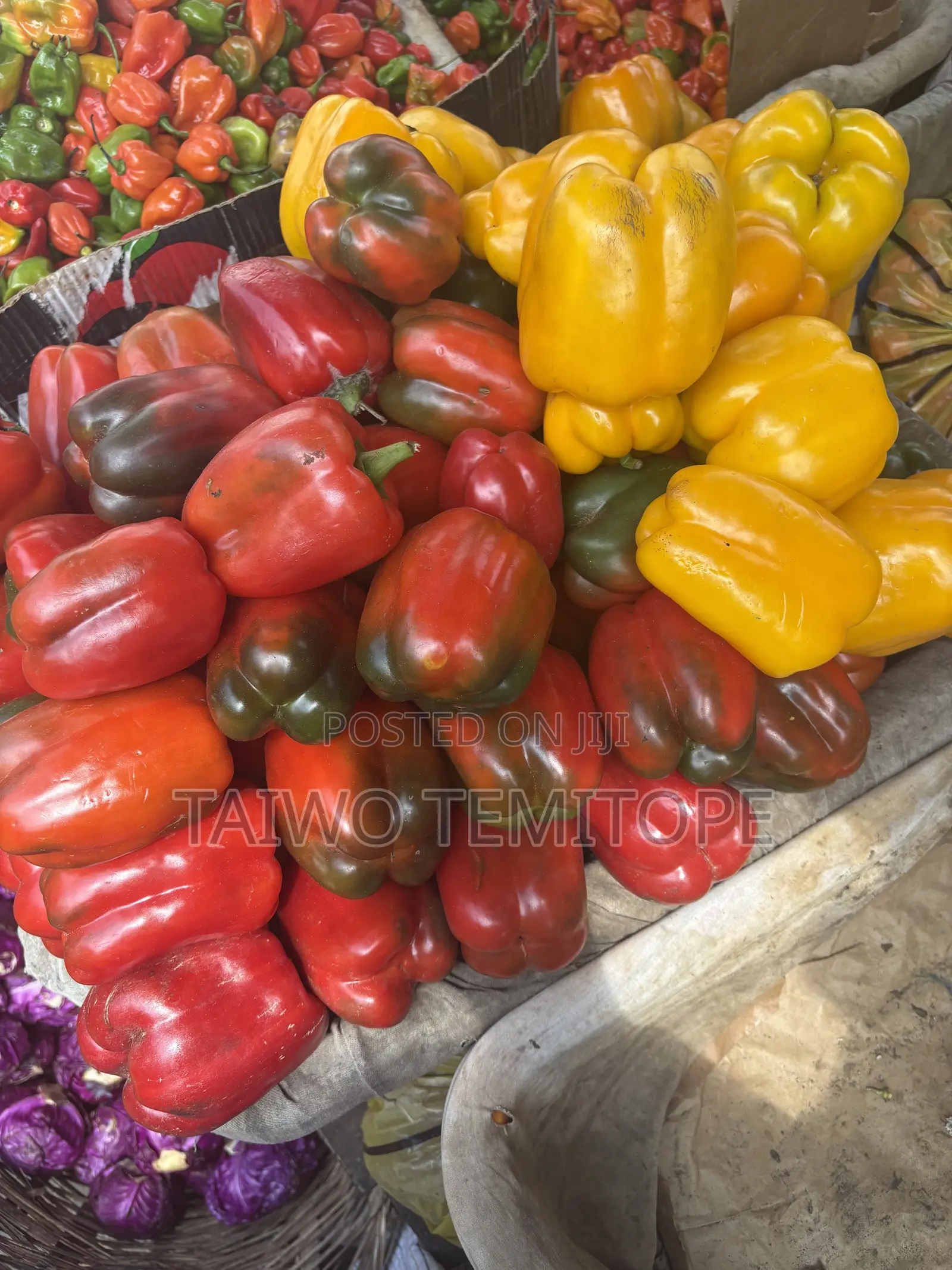 Fruits and Vegetables