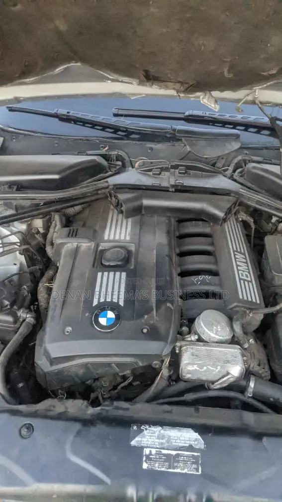 BMW 528i 2009 Silver