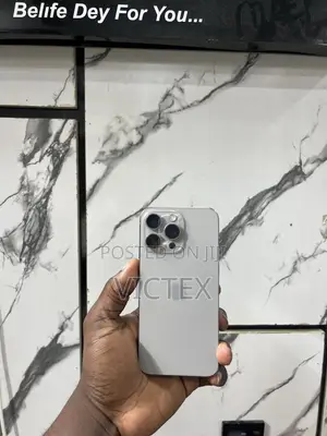 Apple iPhone 15 Pro Max 256 GB Gray