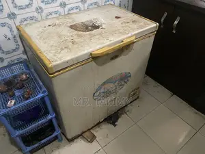 Deep Freezer
