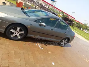 Peugeot 407 2009 Gray