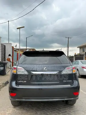 Lexus RX 2011 Gray