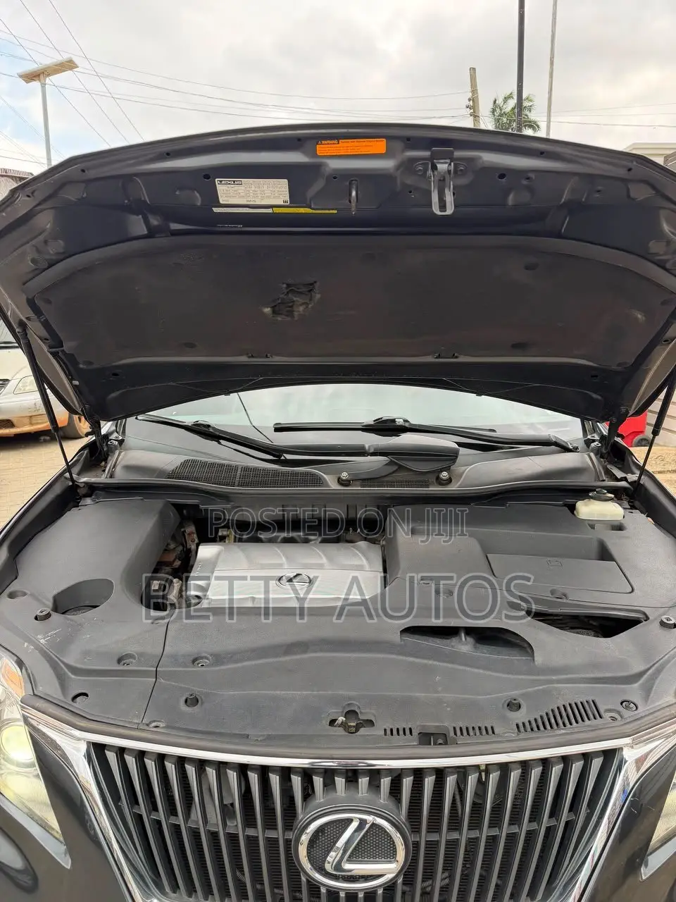 Lexus RX 2011 Gray