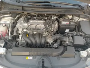 Toyota Corolla LE 2020 Blue
