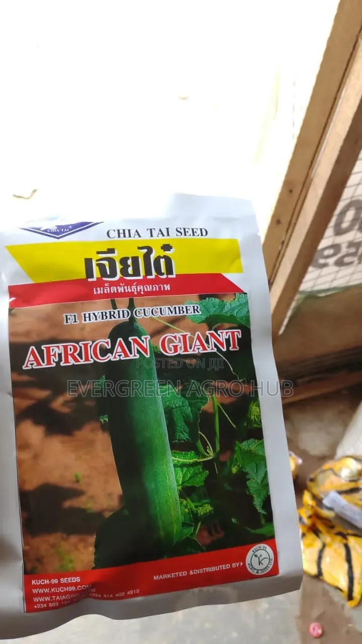 African Giant