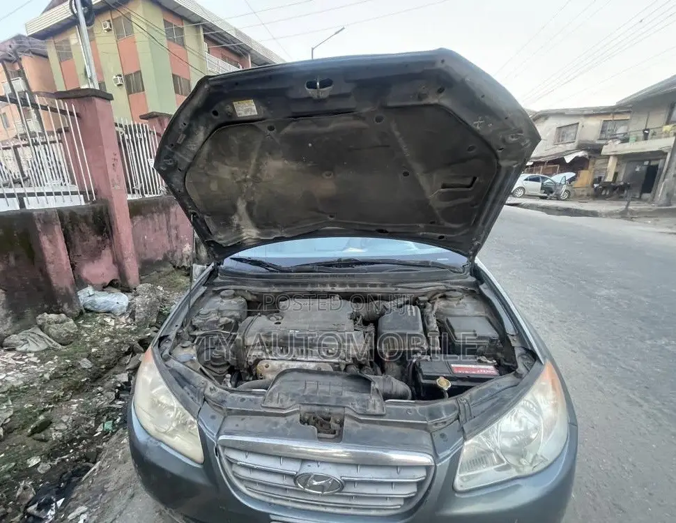 Hyundai Elantra 2009 Gray