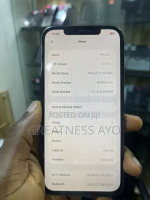 Apple iPhone 12 Pro Max 256 GB Blue