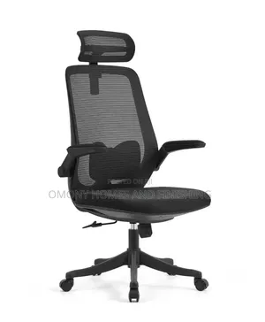 Black Ergonomic Mesh Office Chair With Headrest