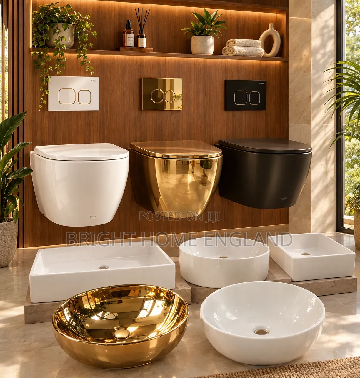 Executive Conceive Toilet WC