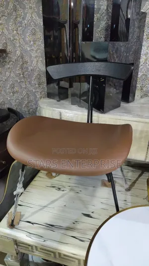 Dining Chair / Modern Restaurants Chair