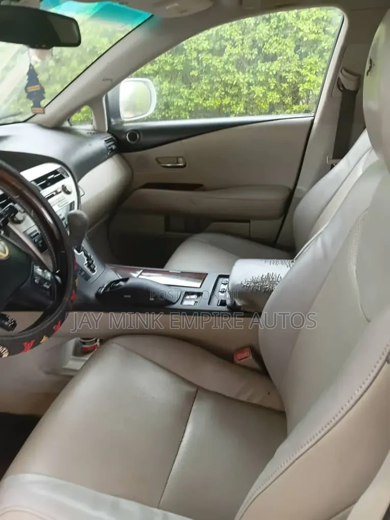 Lexus RX 2010 Silver