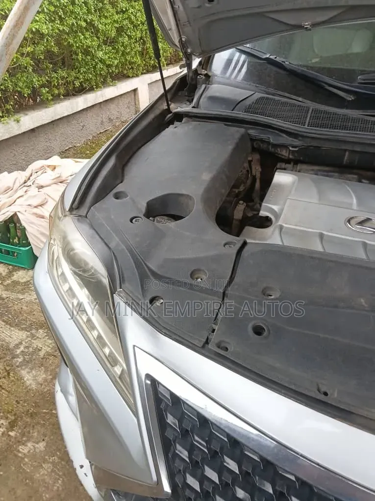 Lexus RX 2010 Silver