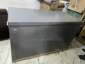 Hisense FC-55DD 420L Freezer for Meat, Fish and Poultry