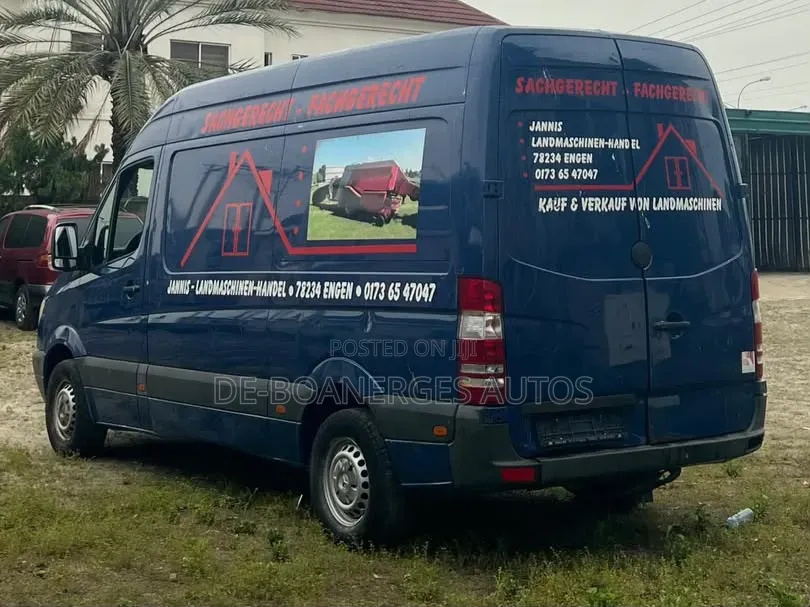 Mercedes-Benz Sprinter 2010 Blue