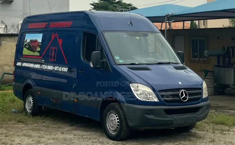 Mercedes-Benz Sprinter 2010 Blue