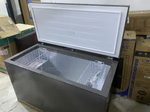 Hisense 420L FC-55DD Chest Freezer for Supermarkets