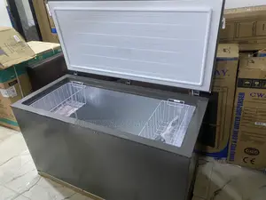 Hisense FC-55DD 420L Frozen Food Storage Solution