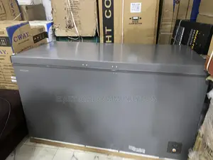 Hisense Fc-55dd Large 420l Freezer for Bulk Storage