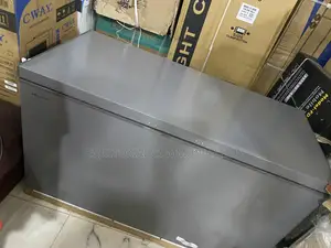 Hisense FC-55DD 420L Chest Freezer for Food Businesses