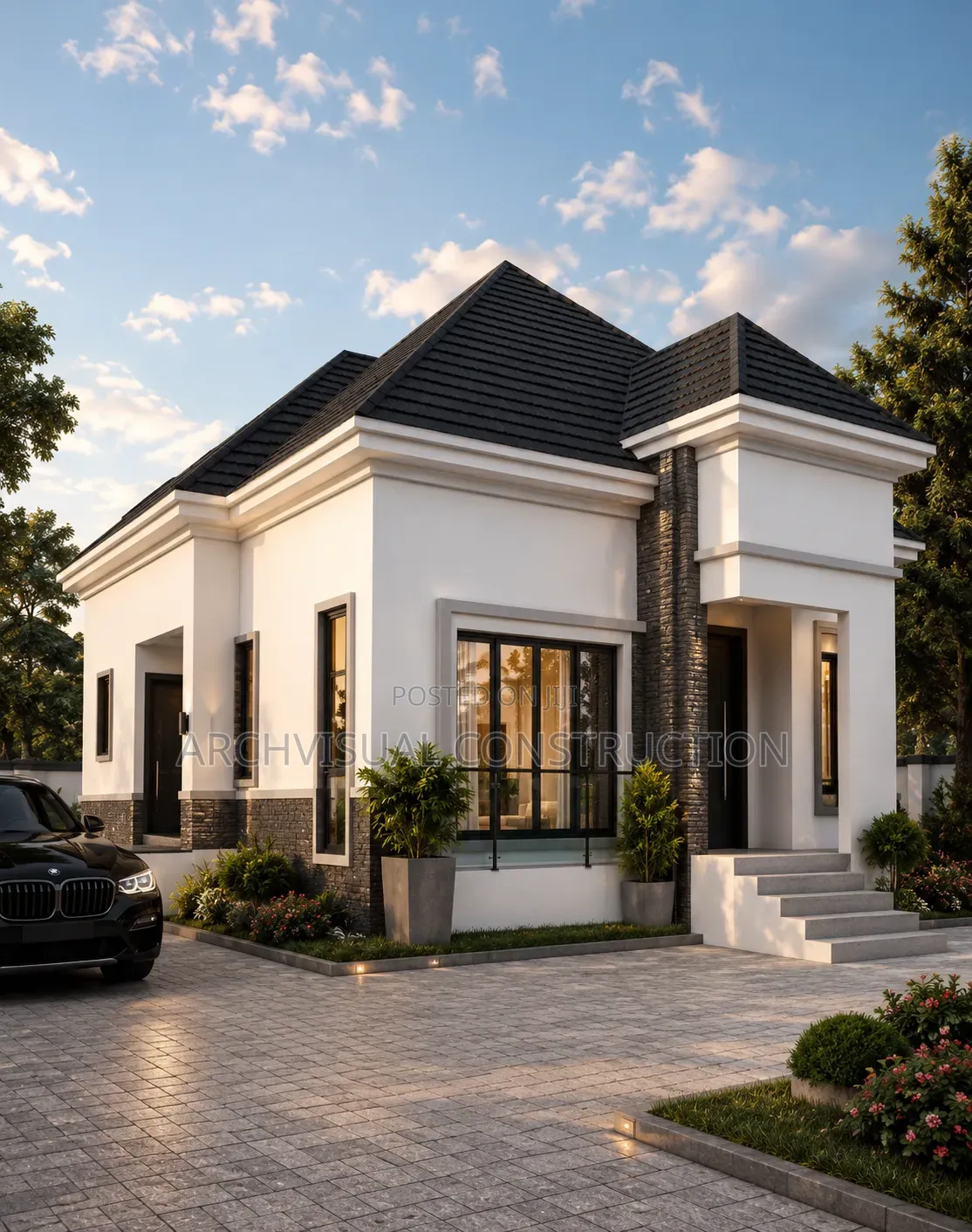 Professional Real Estate Developer and Building Construction
