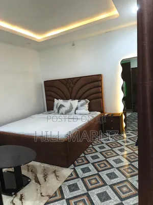 Furnished 1bdrm Apartment in Wuse 2 for rent