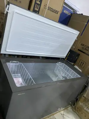 Hisense FC-55DD 420L Storage Freezer for Business Owners
