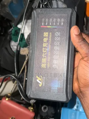 Electric Bike Charger 48v 32ah Acid Battery