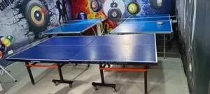 Indoor Table Tennis 