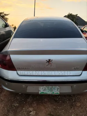 Peugeot 407 2007 Silver