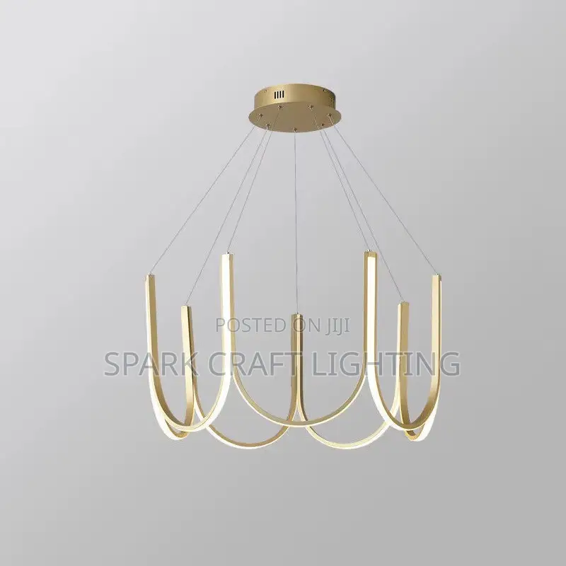 Luxury Modern LED Loop Chandelier – Black & Gold