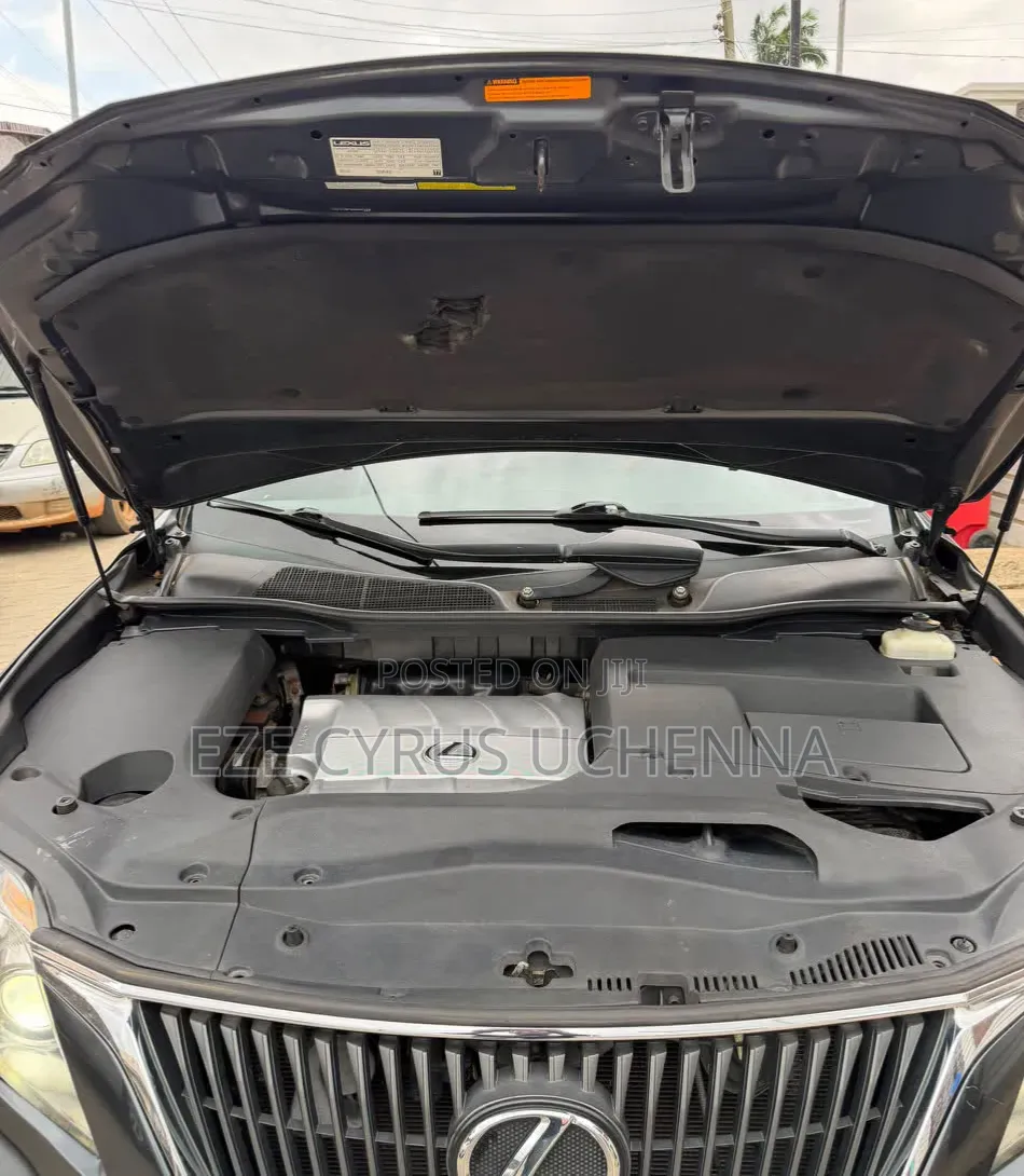 Lexus RX 2011 Gray
